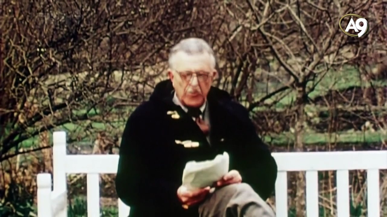 Die Geschichte der Schmetterlinge in der Industriellen Revolution