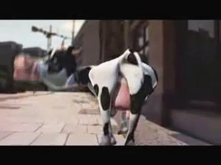 Dancing cow funny cartoon