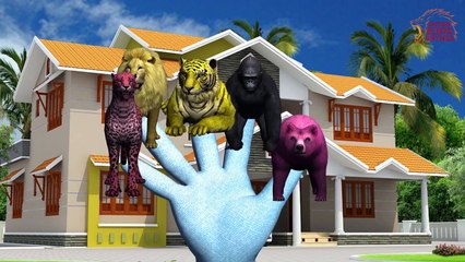 Animal Finger Family - Finger Family Song - 3D Animation Nursery Rhymes & Songs for Childr