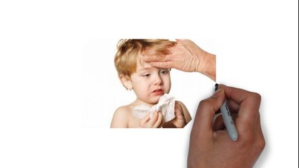 0816574300 Jual Madu Anak Tambrauw