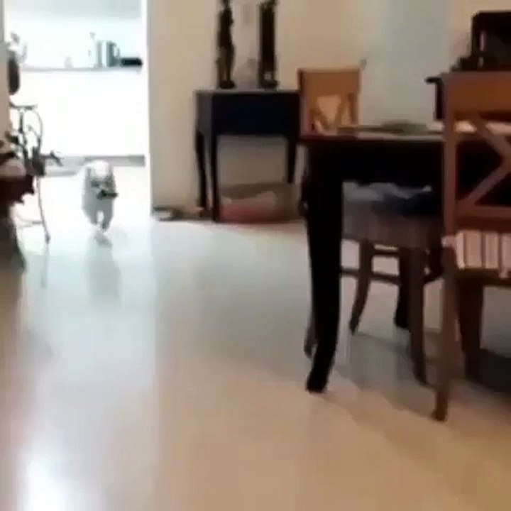 Camera Work