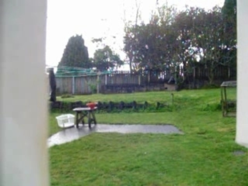 Thunder