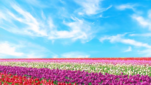 в и к и анимация мультфильм ч ч ч ч для было ягненок мало текст песни Мэри питомник рифма рифмы песни с