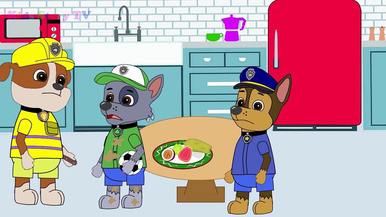 Paw Patrol Baby Flooding and Swimming in the House Full Episodes! Paw Patrol Animation For