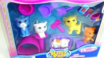 Puppy and Kitty Pals with The Secret Life Of Pets, Paw Patrol, Chubby Puppies Toys-zQHfqXx