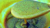 DIY How To Make Super Sparkle Glitter Golden Slime-0NB0