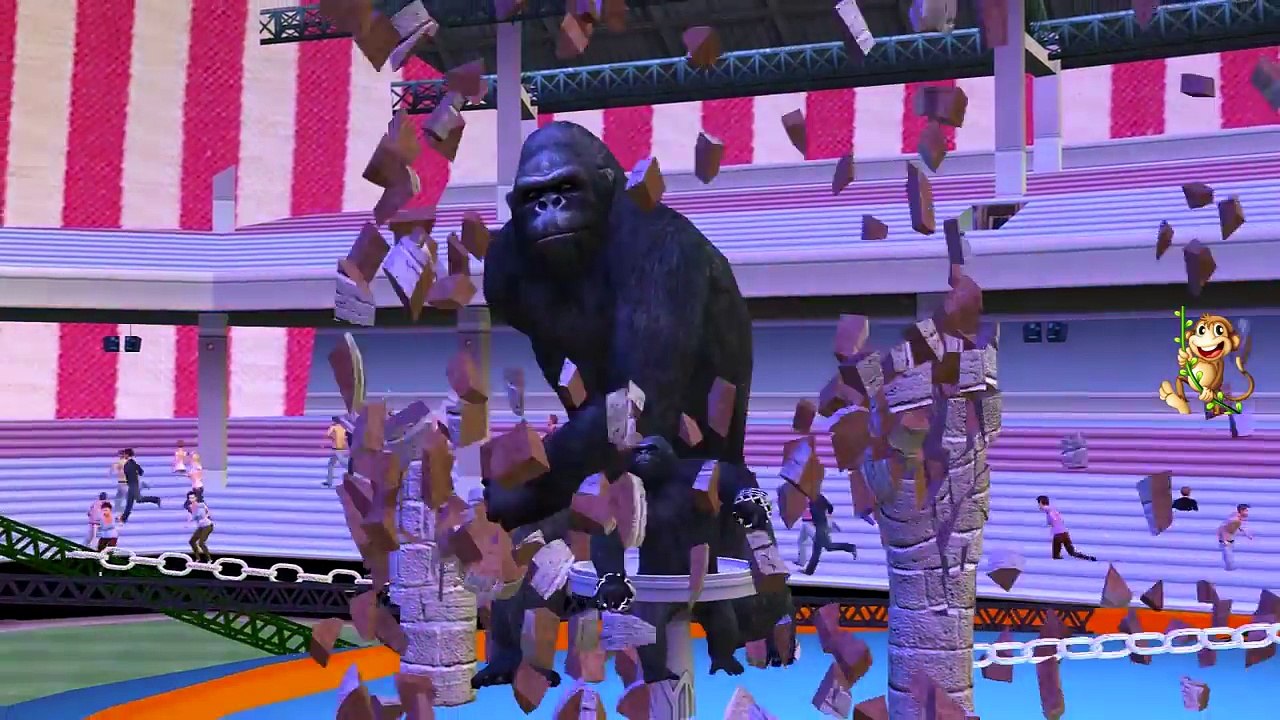 Животные тележка цвета динозавры дела Семья палец горилла продуктовый питомник поход по магазинам песни |