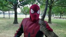 HULK Transforms Into RED HULK w_ SPIDERMAN - Spider-man Last Stand IRL - Superheroes - Marvel-Ie5t