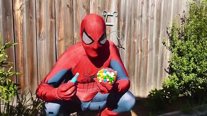 Spiderman and Spidergirl Bubble Gum Poo Prank Fun - Superhero Movie In Real Life!-ELSmI1G