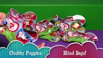 Chubby Puppies Blind Bags Opening! _ Bin's Toy Bin-YinSsgI