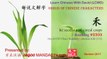 Origin of Chinese Characters - 2303 禾 hé seedling of cereal crops  - Learn Chinese with Flash Cards
