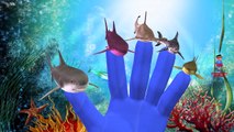 Sea Animals Sharks Whales Dolphin And King Kong Singing Finger Family Children Nursery Rhy