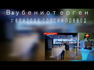 Vljubeniot ergen 37 ep srpski prevod