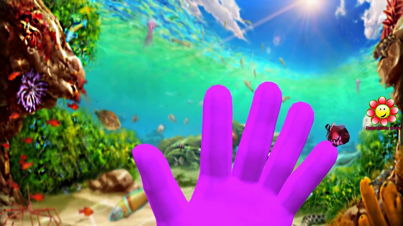 Животные мультфильм крокодил Дельфин фам Семья палец мега осьминог Море акулы Кит |