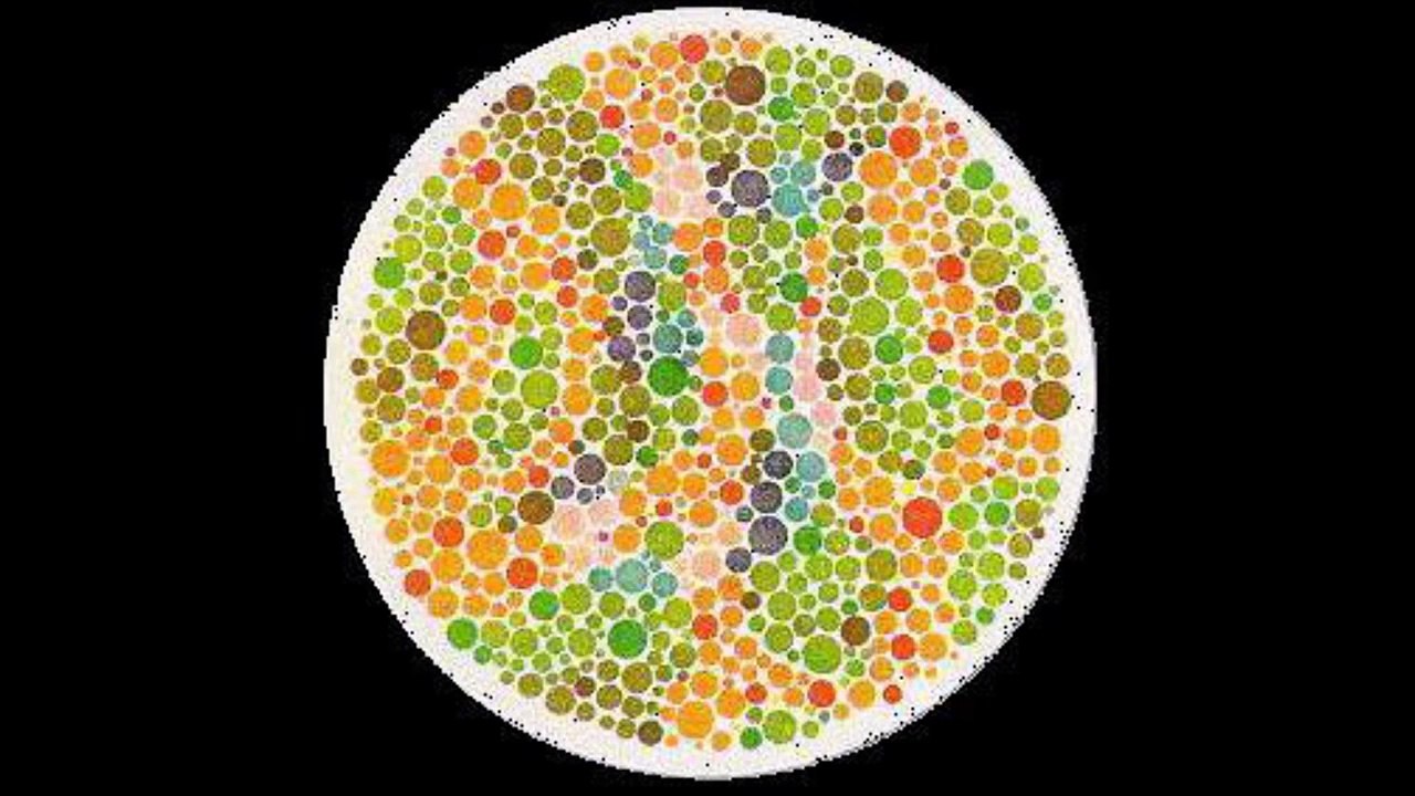 色覚異常の種類と統計