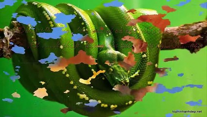 LIFE LIFE - MEANING OF LIFE