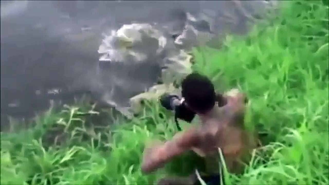 【リアル音声】ライオンVSハイエナの凄まじい激突バトル！【野生動物クローズアップ】