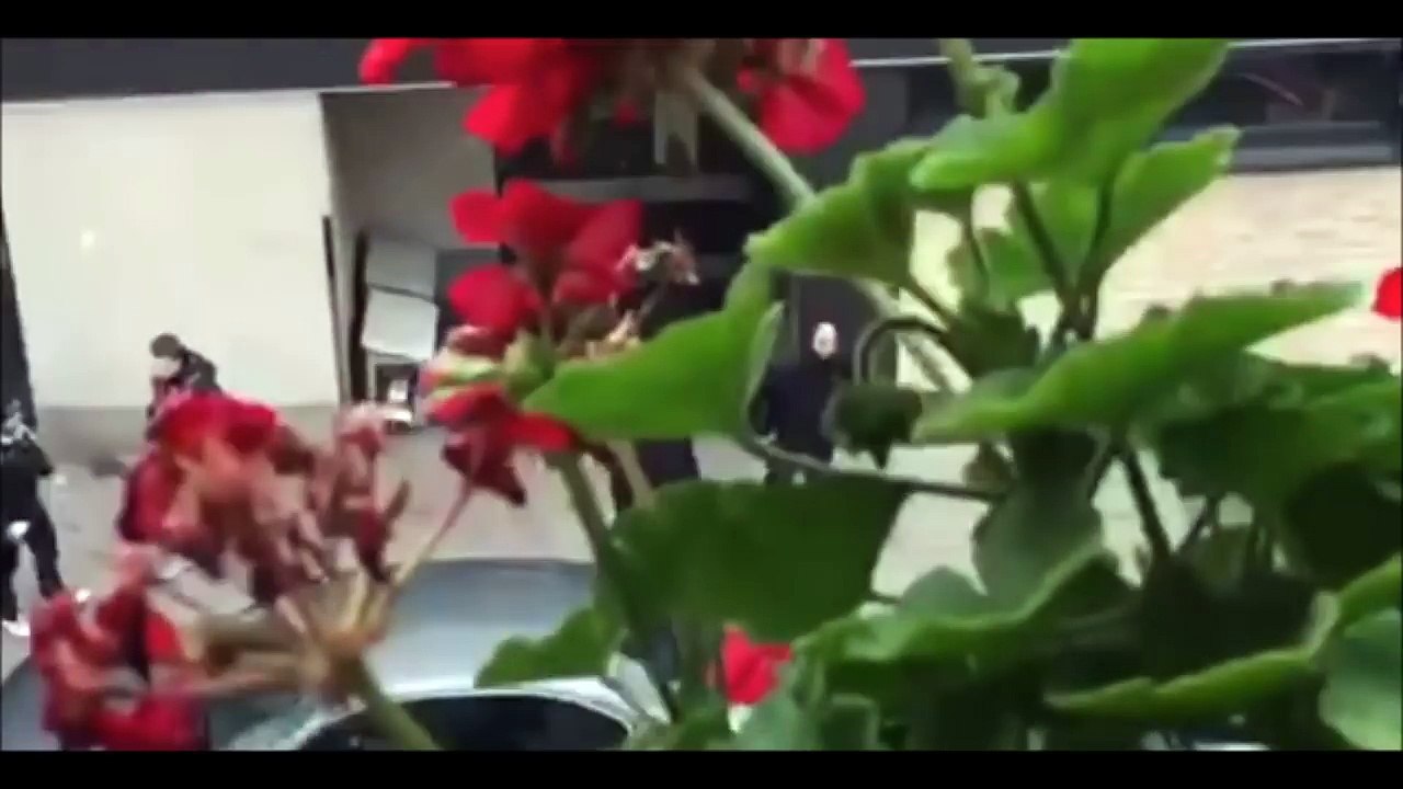 Rapid Wien - Austria Wien Hooligans clash video