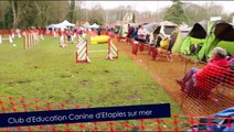 concours agility