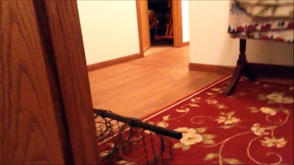 Vlog #3 - NEW FRIENDS!!! - Blog