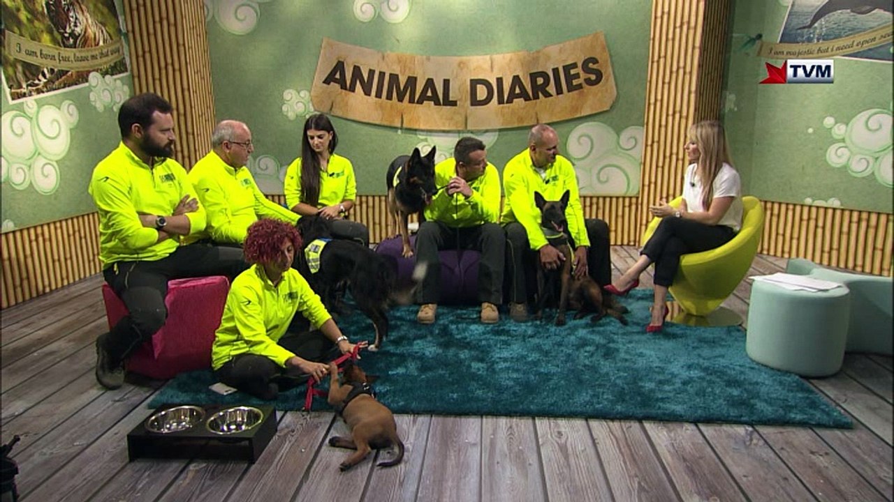 Animal Diaries S05E02