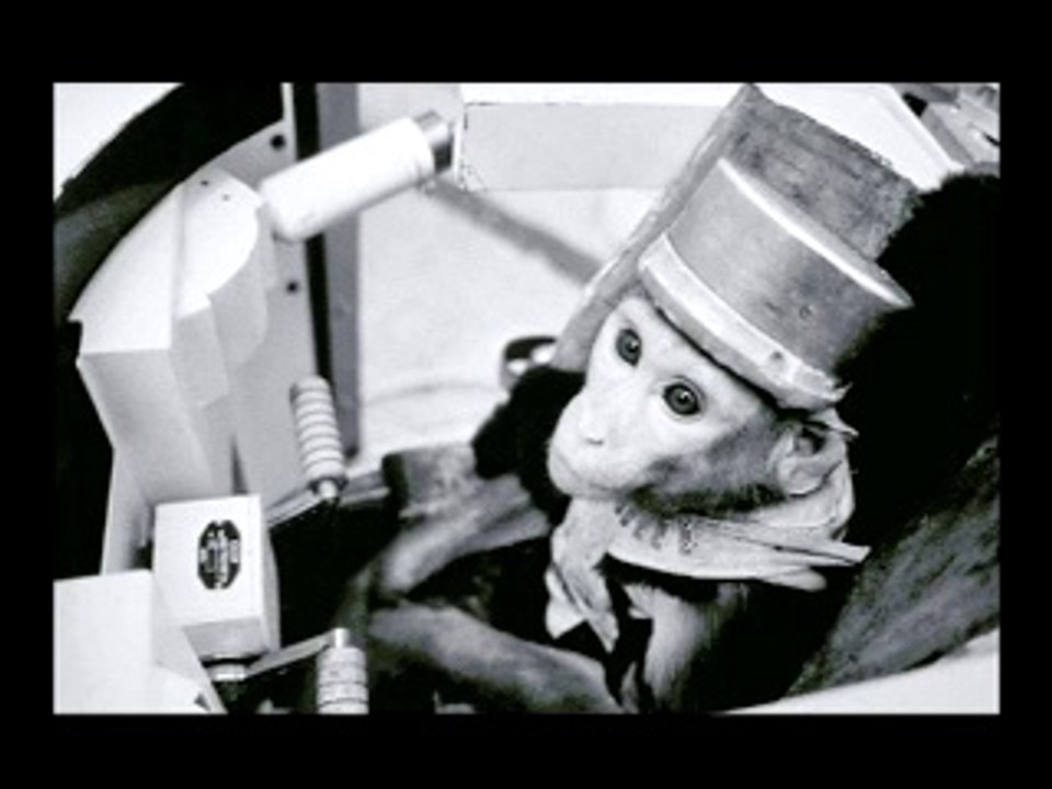 Des pionniers à plume et à poils...