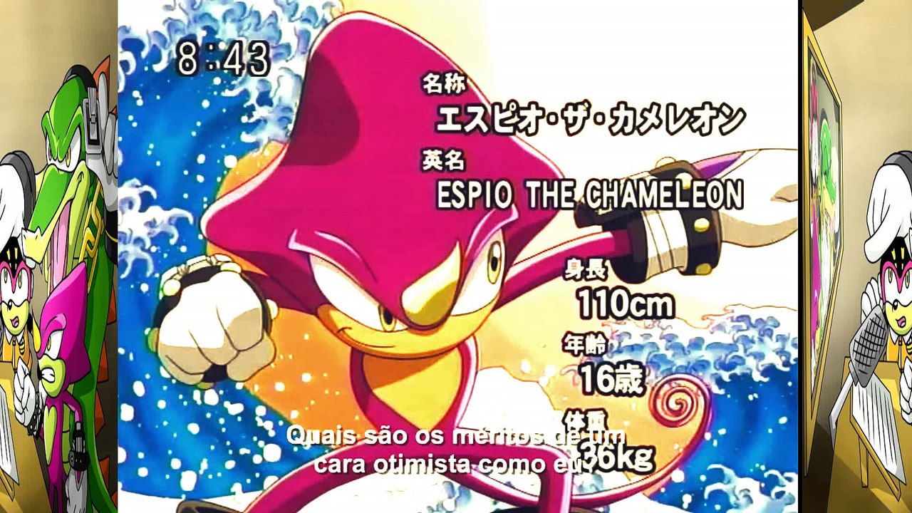 22 anos de Team Chaotix