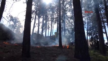 Download Video: Mersin Ormanlık Alanda Çıkan Yangın Korkuttu