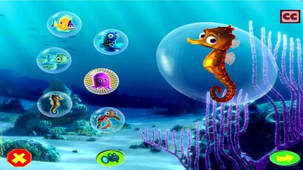 Finding Nemo Movie Game Walkthrough