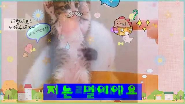 강냠야구장 ０１０↔７４８６↔７７６５【홈런】강남매직미러 강남룸 강남풀