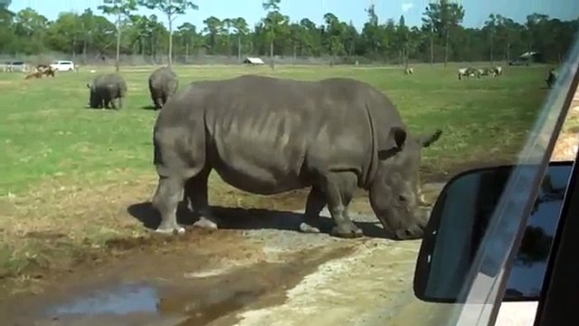 역삼풀〖010↔7486↔7765〗강남매직미러\\강남풀싸가격\\강남야구장