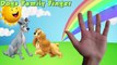 Popular Cartoon Dogs transforms into Real Dogs | Nursery Rhymes Finger Family Song
