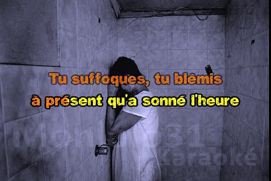 Serge Gainsbourg - Je suis venu te dire que je m'en vais KARAOKE / INSTRUMENTAL