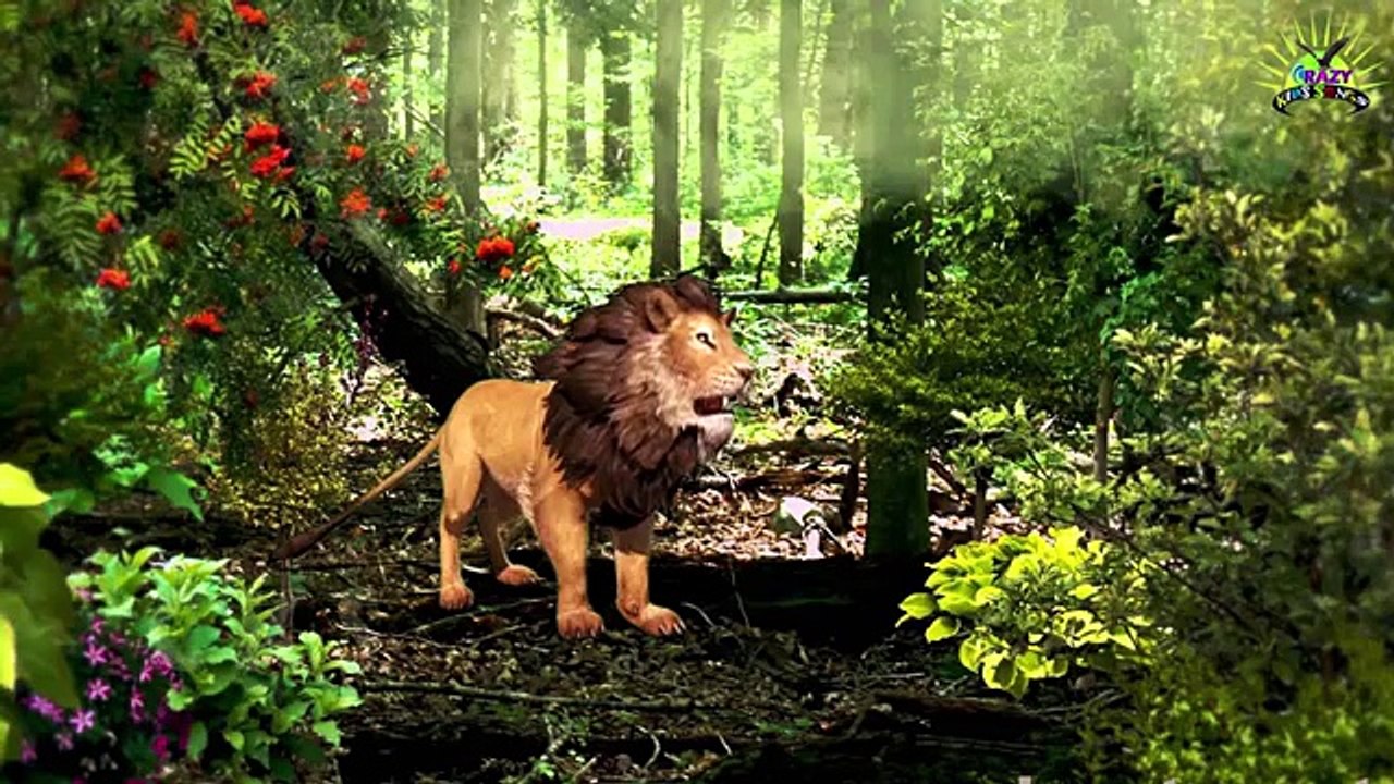 Tiger Finger Family | Lion Cheetah 3D Animated Finger Family Rhymes For Babies | Animals C