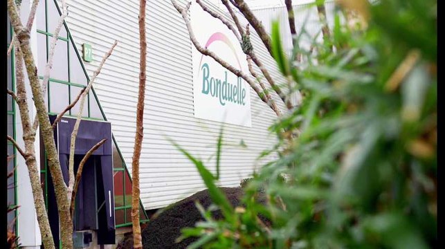 Semaine de l'Industrie : Bonduelle développe l'économie circulaire à l'échelle locale