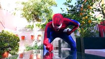 Spiderman vs Venom disguised as Hulk - Spiderman Prank in Real Life - Superhero Funny Movie