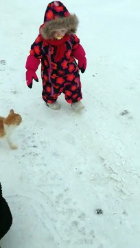 Un chat fait chuter une petite fillette !