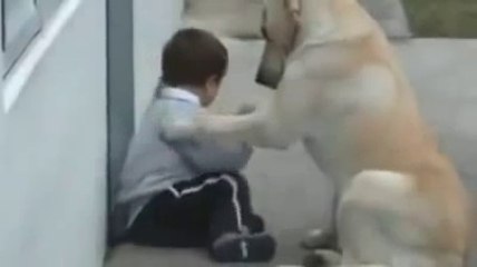video | a babay and dogiiii|best ever video|so nice video