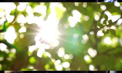 Μπεληγιάννης Ταξιάρχης, Παραμύθια από τις τέσσερις γωνιές του κόσμου, B μέρος