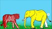 Learn Colors, Colors for Children, Learning Colors With Elephant Cartoon Coloring Pages fo