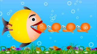 Learn Colors with Sea Fish Animals | Colours to Kids Children Toddlers Baby Play Videos