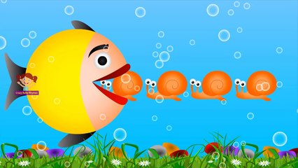 Learn Colors with Sea Fish Animals | Colours to Kids Children Toddlers Baby Play Videos
