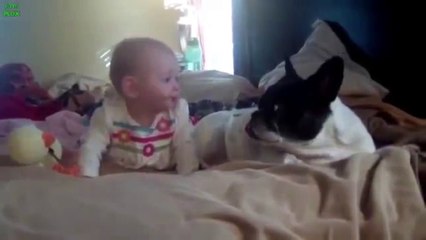 Un bébé caresse pour la première fois un petit chien !