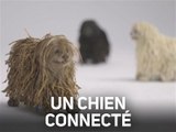 Ce robot-chien est connecté à votre timeline facebook