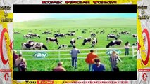 Benekli Sarkı Kız inek Sütaş Çocukların Sevdiği Reklamlar  Komik Video