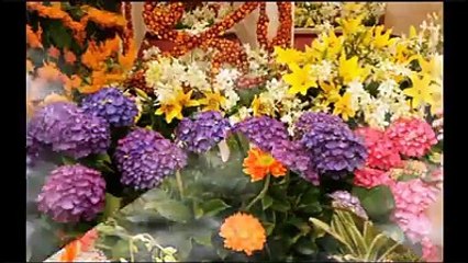 BANGLA HAMD | BD ISLAMIC FULL SONG 2017