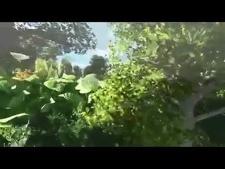 ISLAMIC VIDEO SONG 2017 | BANGLA HAMD