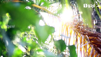 Beti To Main Bhi Hun Episode 51 Urdu1