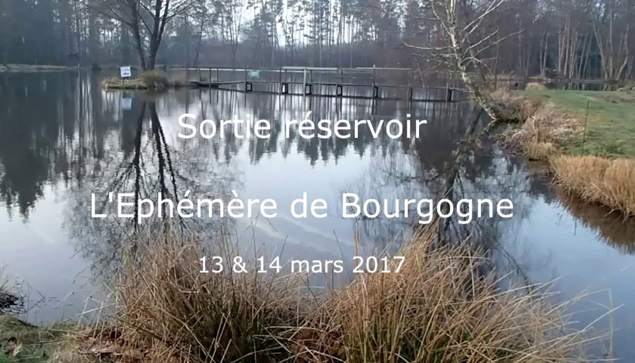 Pêche mouche - Réservoir l'Ephémère de Bourgogne - Mars 2017