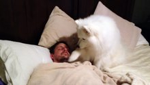 Puisque ses amis ne croyaient pas à ce qu’il dit, il filme son chien au petit matin. Alors plus de doute….
